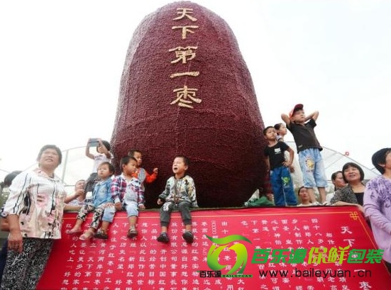 鄭州現天下第一棗 盤點栆如何保存